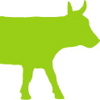 vache